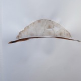 TA Untitled 30x21cm Watercolour on paper 2020