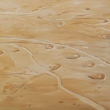 Palmyra, oil on canvas, 80x90cm - 2013